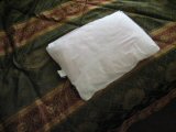 Dust mites on pillows